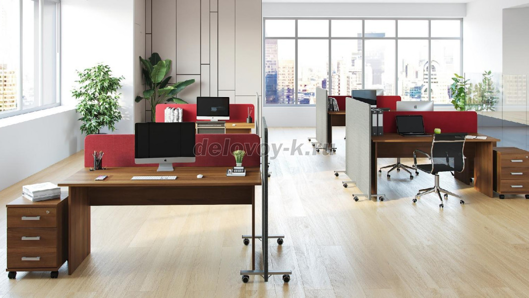 SOFToffice фото 13