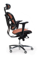 Стартрек_оранж__3__x3lw-s6_1000 рис3