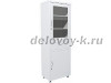 Мебель медицинская для оборудования кабинетов и палат Шкаф МД 1 1760 R-1