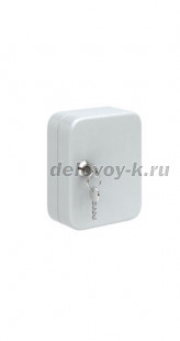 Металлический шкаф для ключей КС-20 (2324390)  160*80*200мм рис1