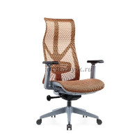 DSC_9758_1000 рис1