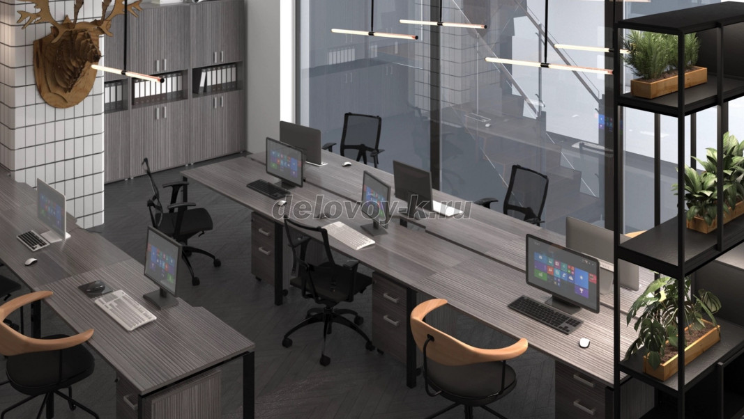 Аргентум фото 15