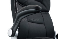 DSC_3342_1000 рис2