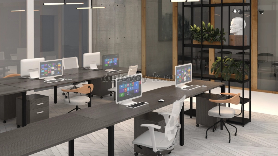 Аргентум фото 14