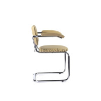 silvia_arm_ch_03.jpg рис2