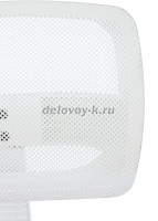 w299 alpha 5 рис5