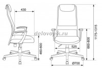 496676_v05_m рис2